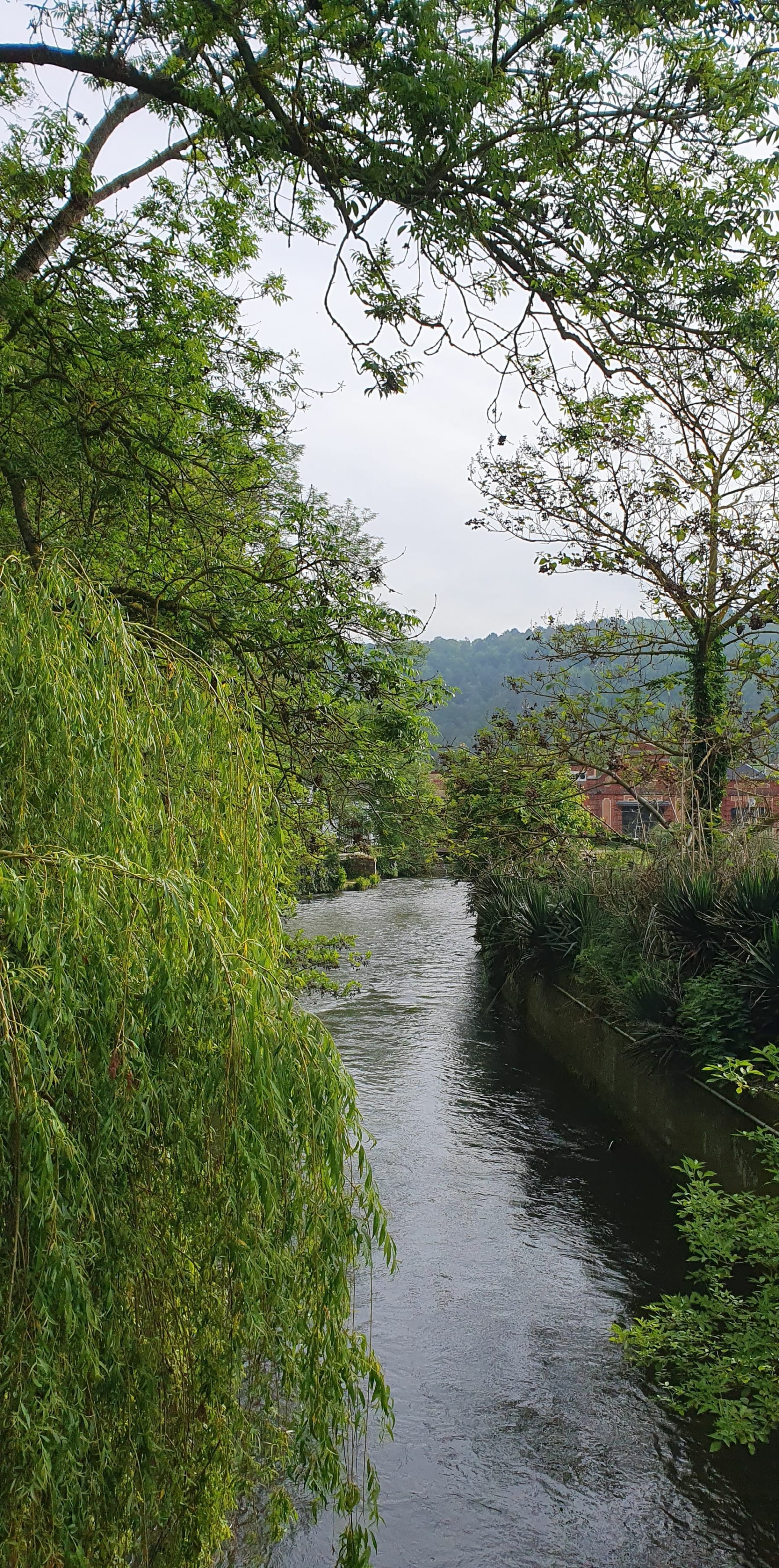 Randonnée Sacquenville - Foret à Sacquenville