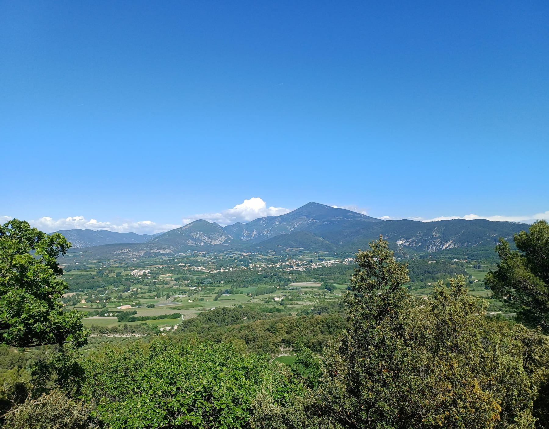 Randonnée Aubignan - Super balade entre Aubignan, Grillon-le-Brave et Suzette