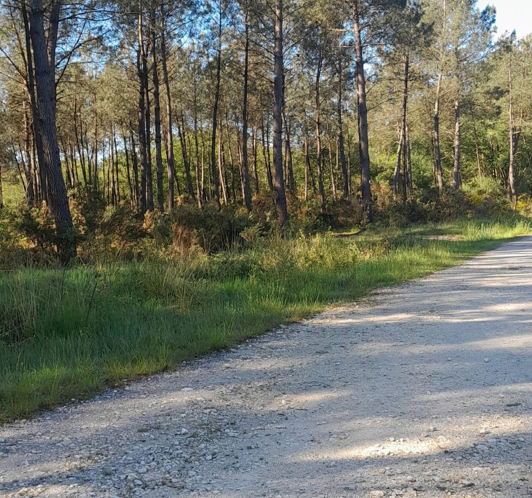 Randonnée Saint-Yzan-de-Soudiac - Entre Gironde et Charente départ de Saint Yzan de Soudiac