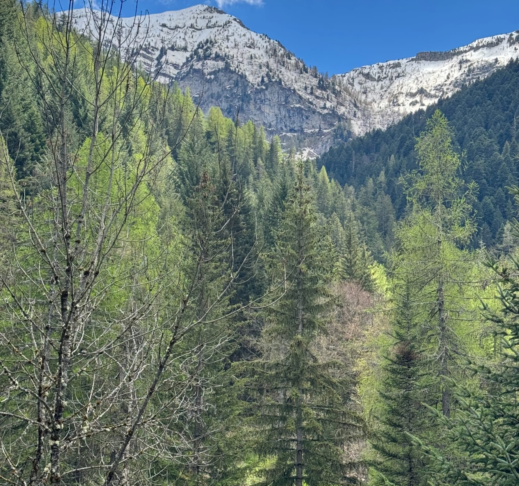 Randonnée La Motte-en-Champsaur - Balade dans les Ecrins depuis Molines en Champsaur