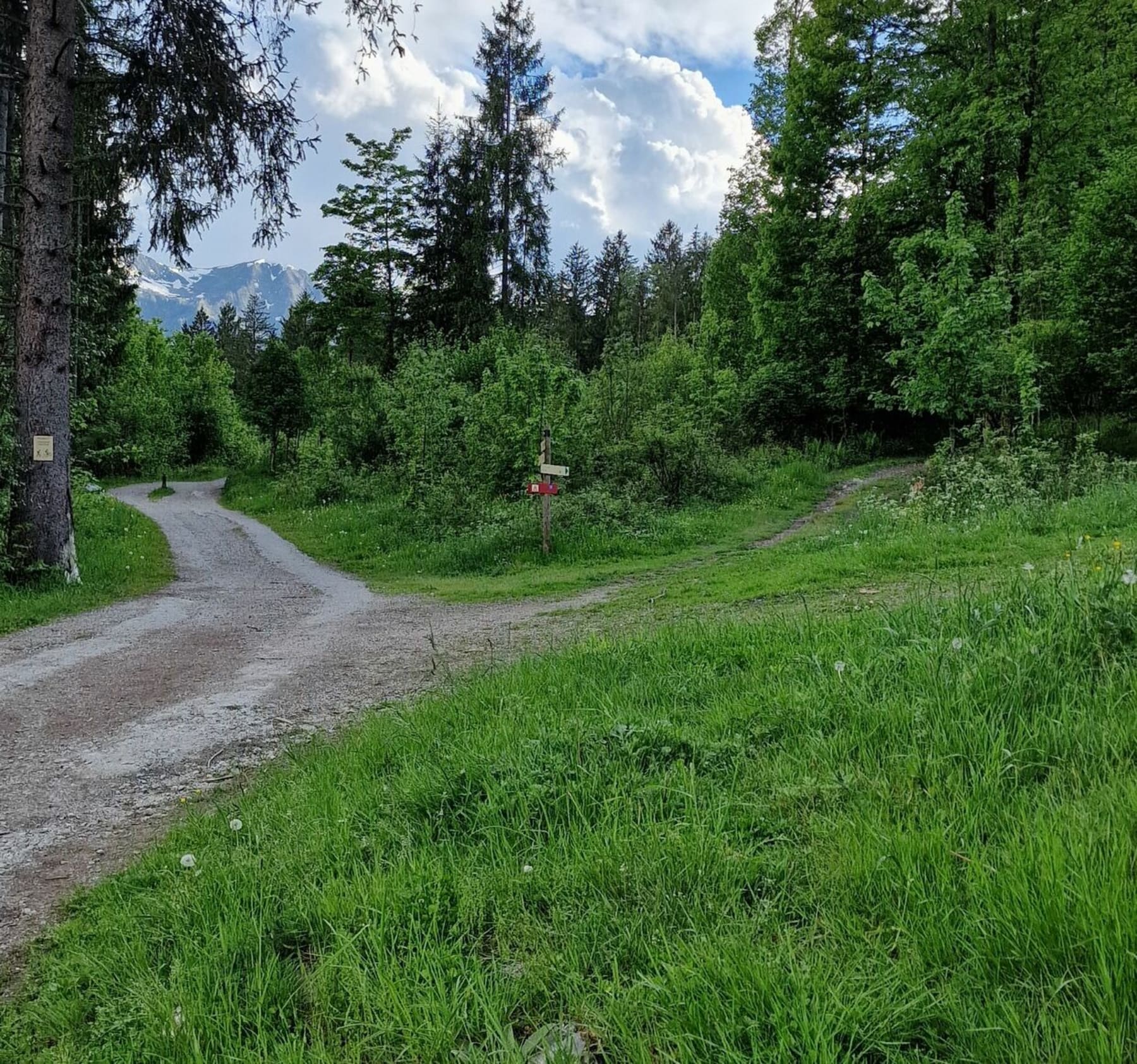 Randonnée Chamonix-Mont-Blanc - Balcon sud et bord de l'Arve