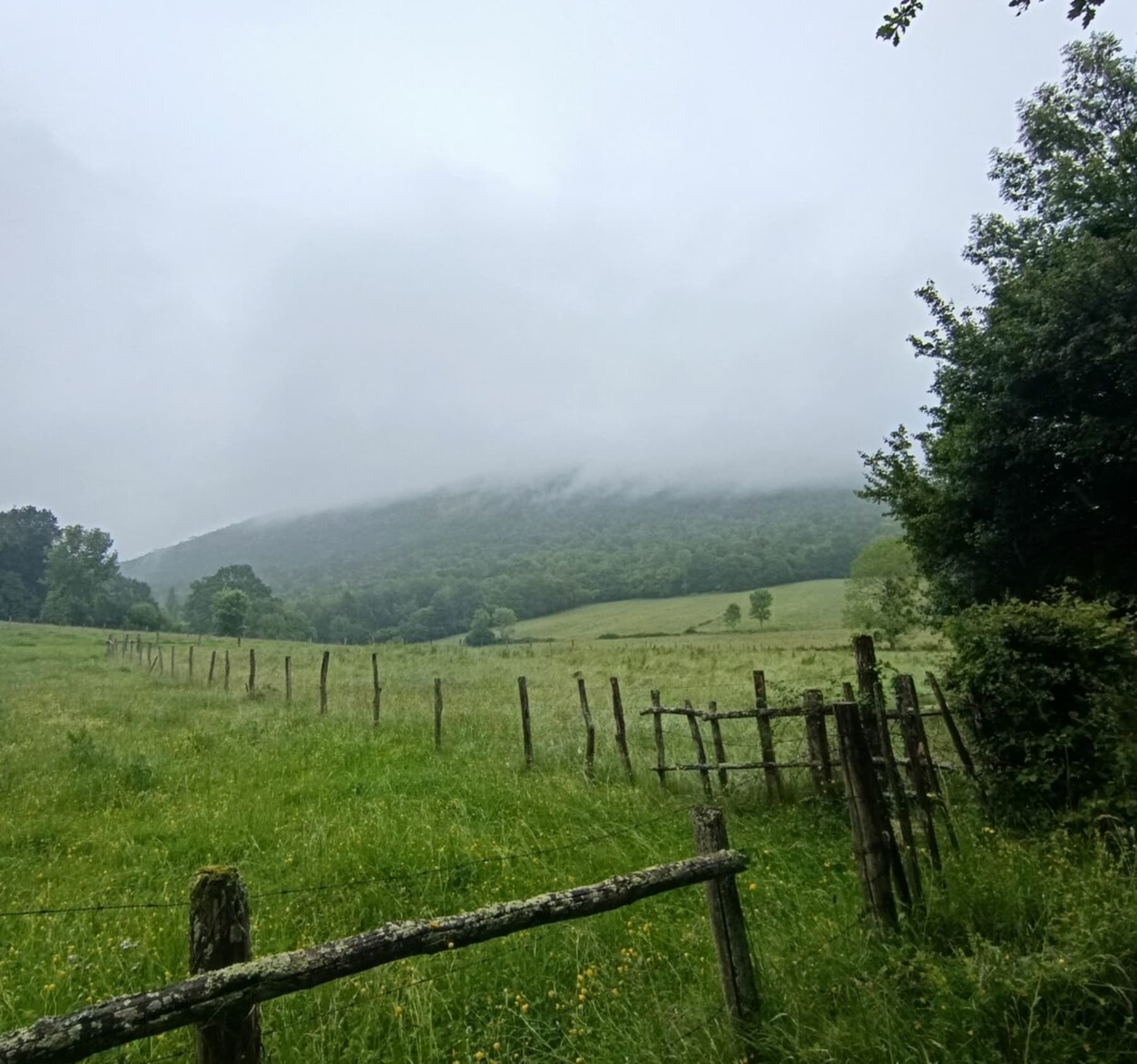 Randonnée Cier-de-Rivière - Col d'Auach depuis Cier de rivière