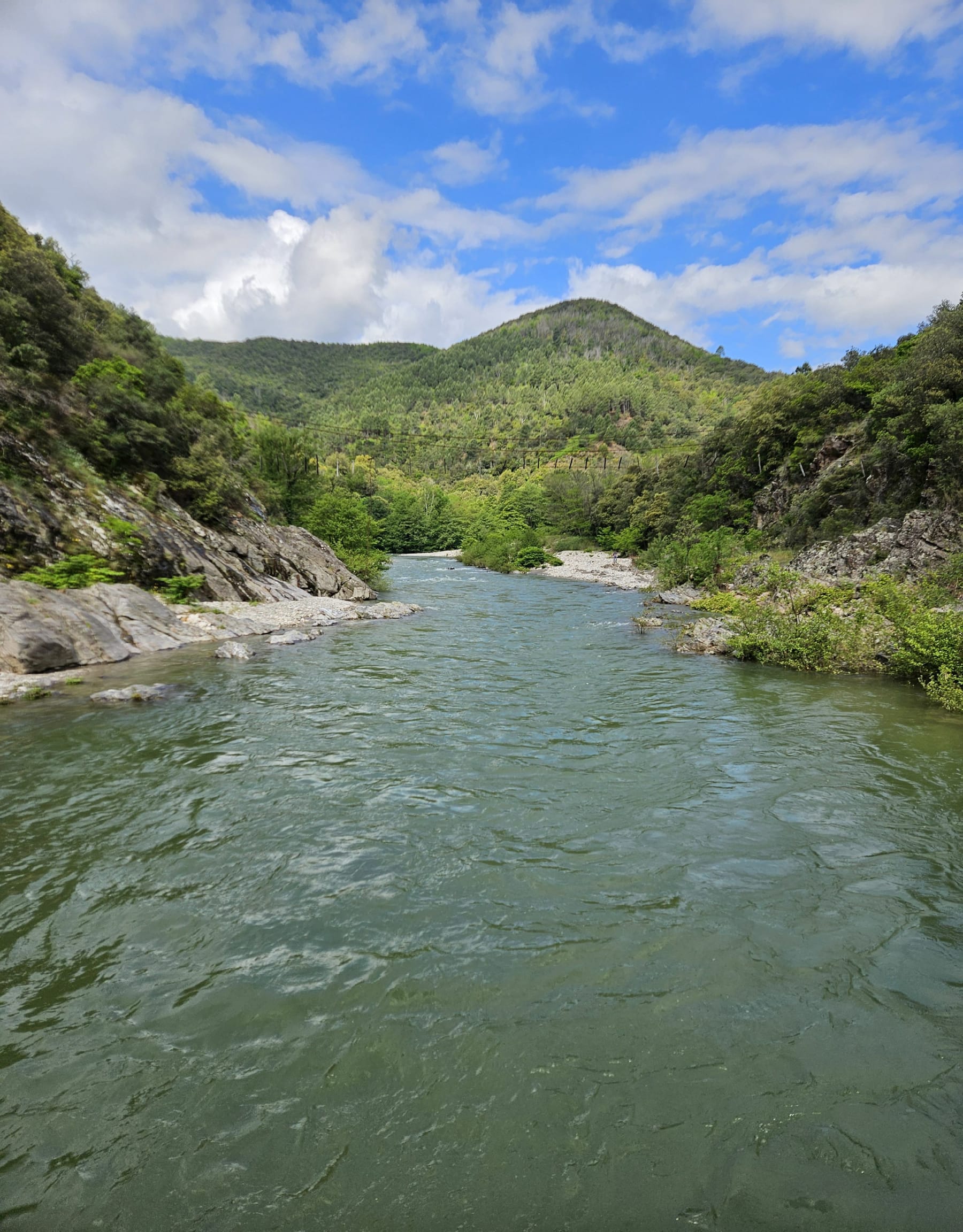 Randonnée Saint-Étienne-Vallée-Française - Les Aigladines à VTC