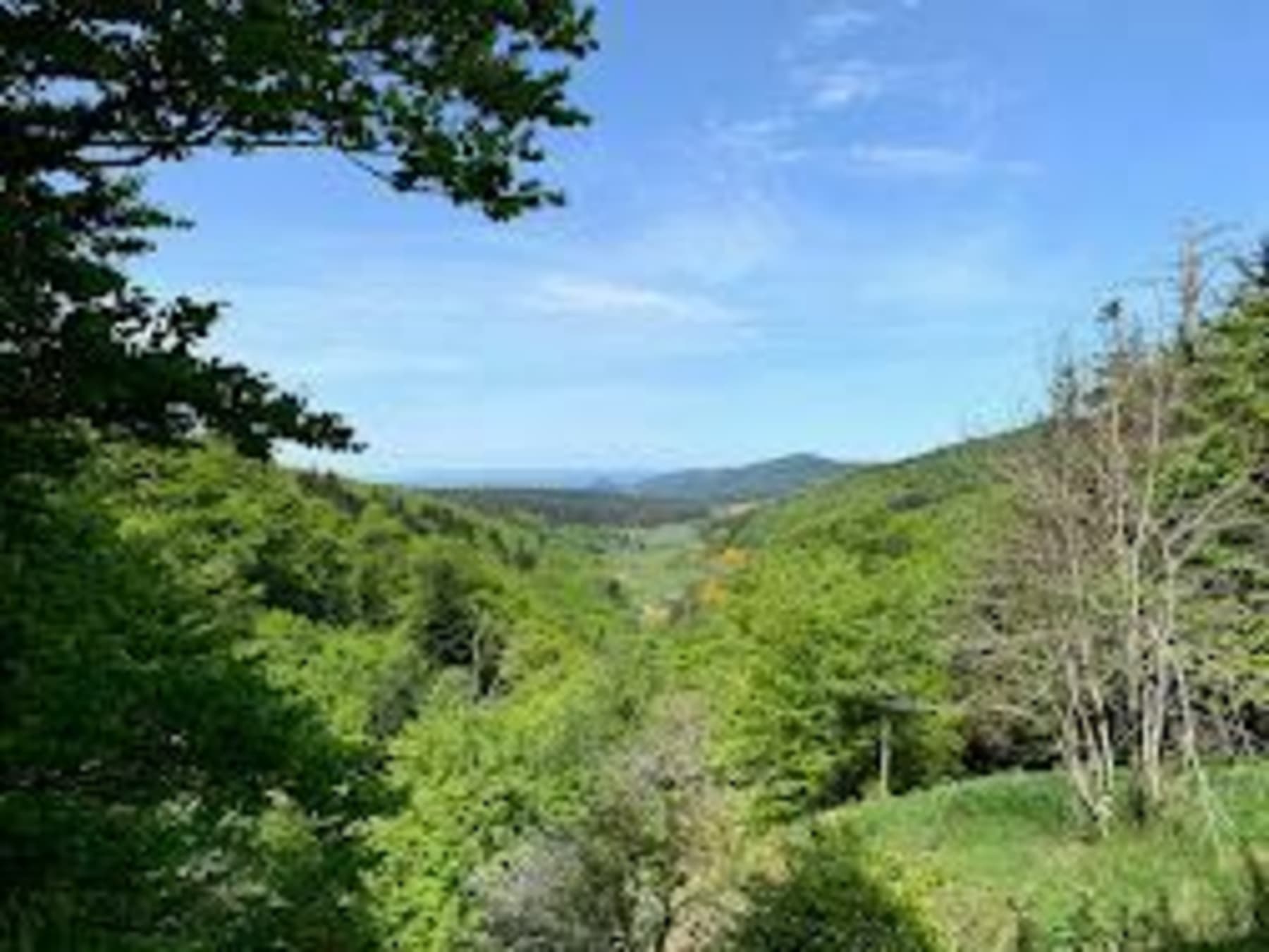 Randonnée Saint-Sauveur-Camprieu - Bouclede Bramabiau au col de la Serreyrède par Faubel