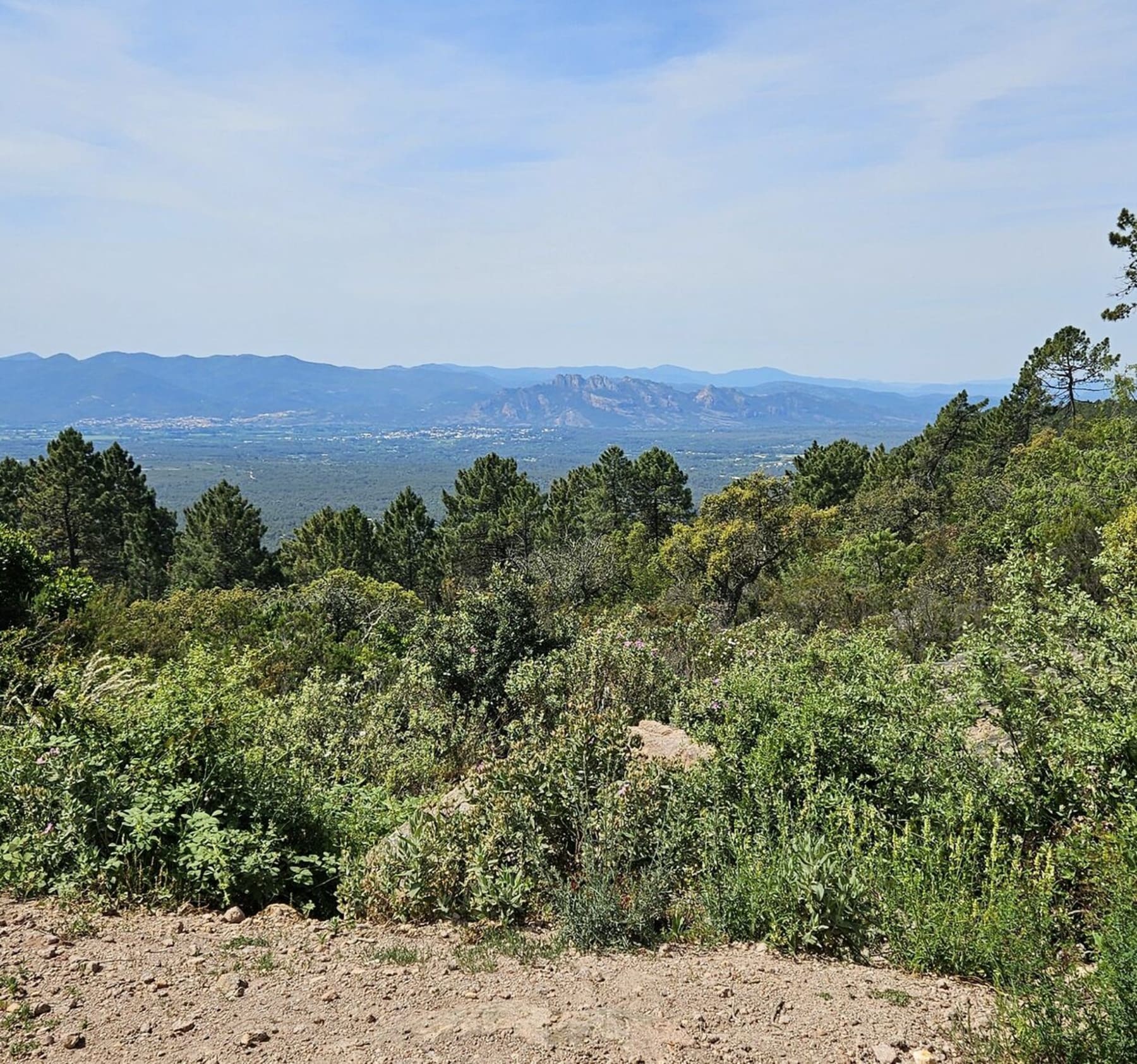 Randonnée Puget-sur-Argens - Boucle du Col du Coucou