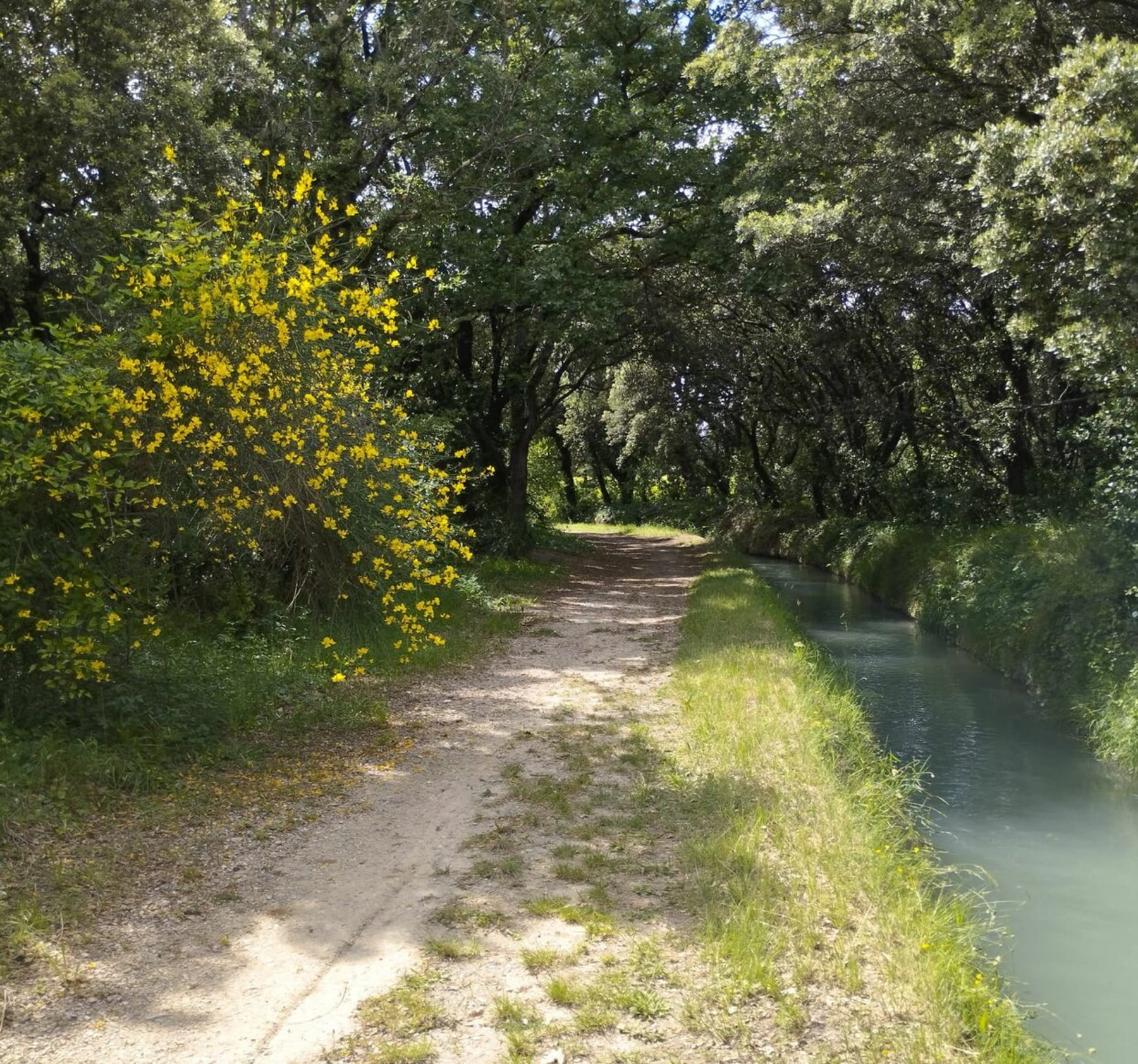 Randonnée Sarrians - Canal de Carpentras autour de Sarrians