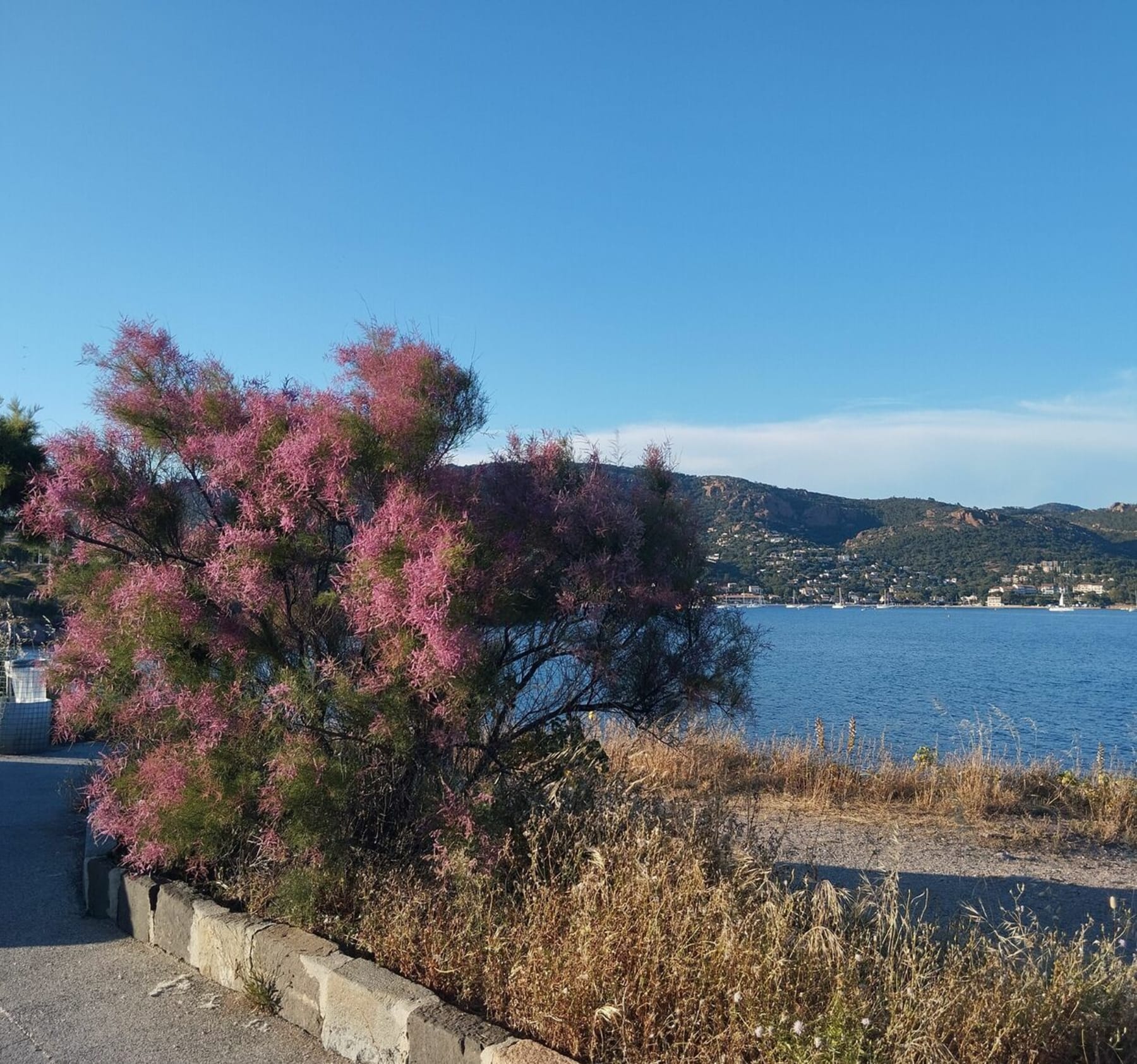 Randonnée Saint-Raphaël - De la baie d'Agay au coeur de l'Esterel