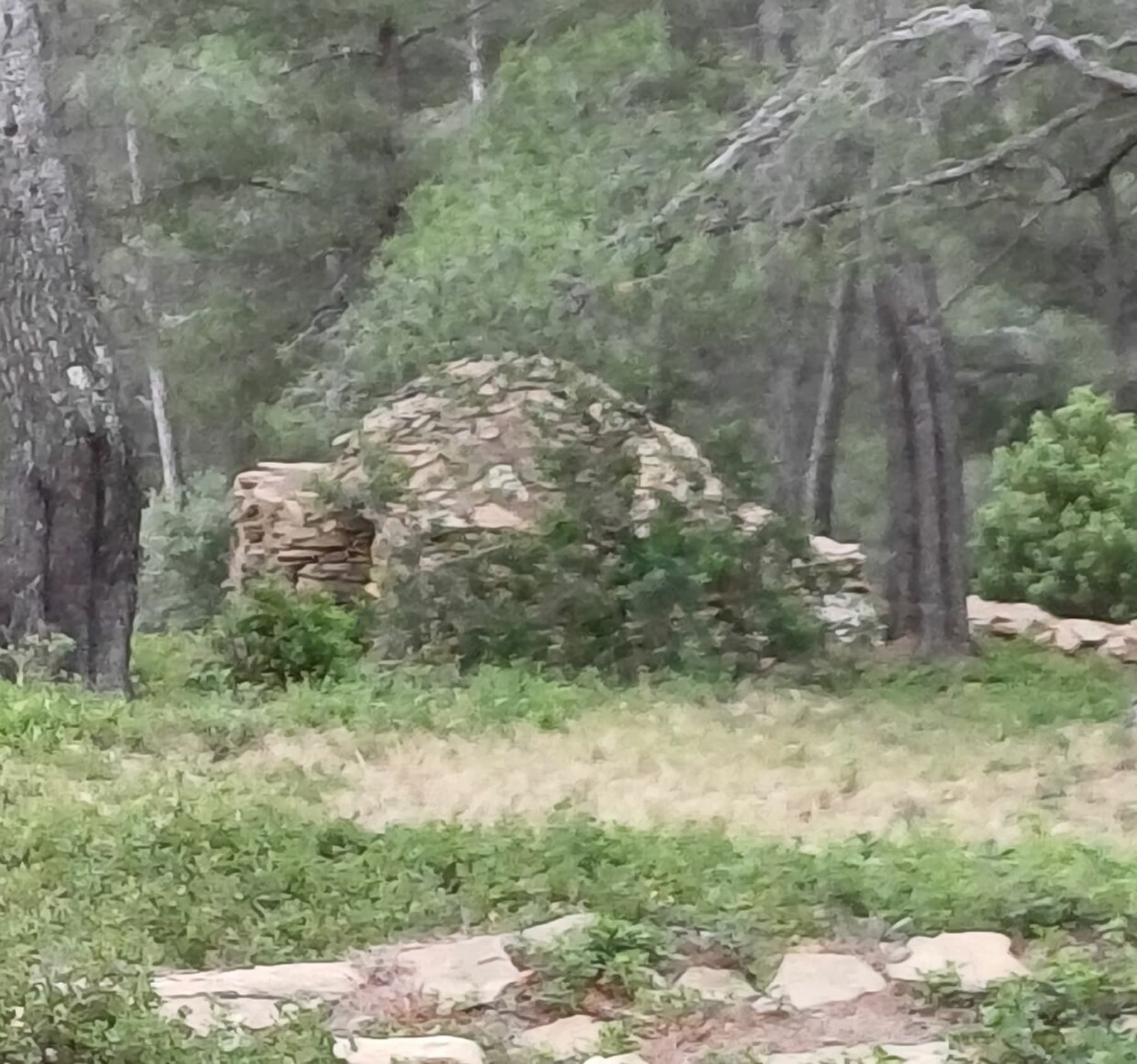 Randonnée La Ciotat - Le Télégraphe par les plaines Baronnes