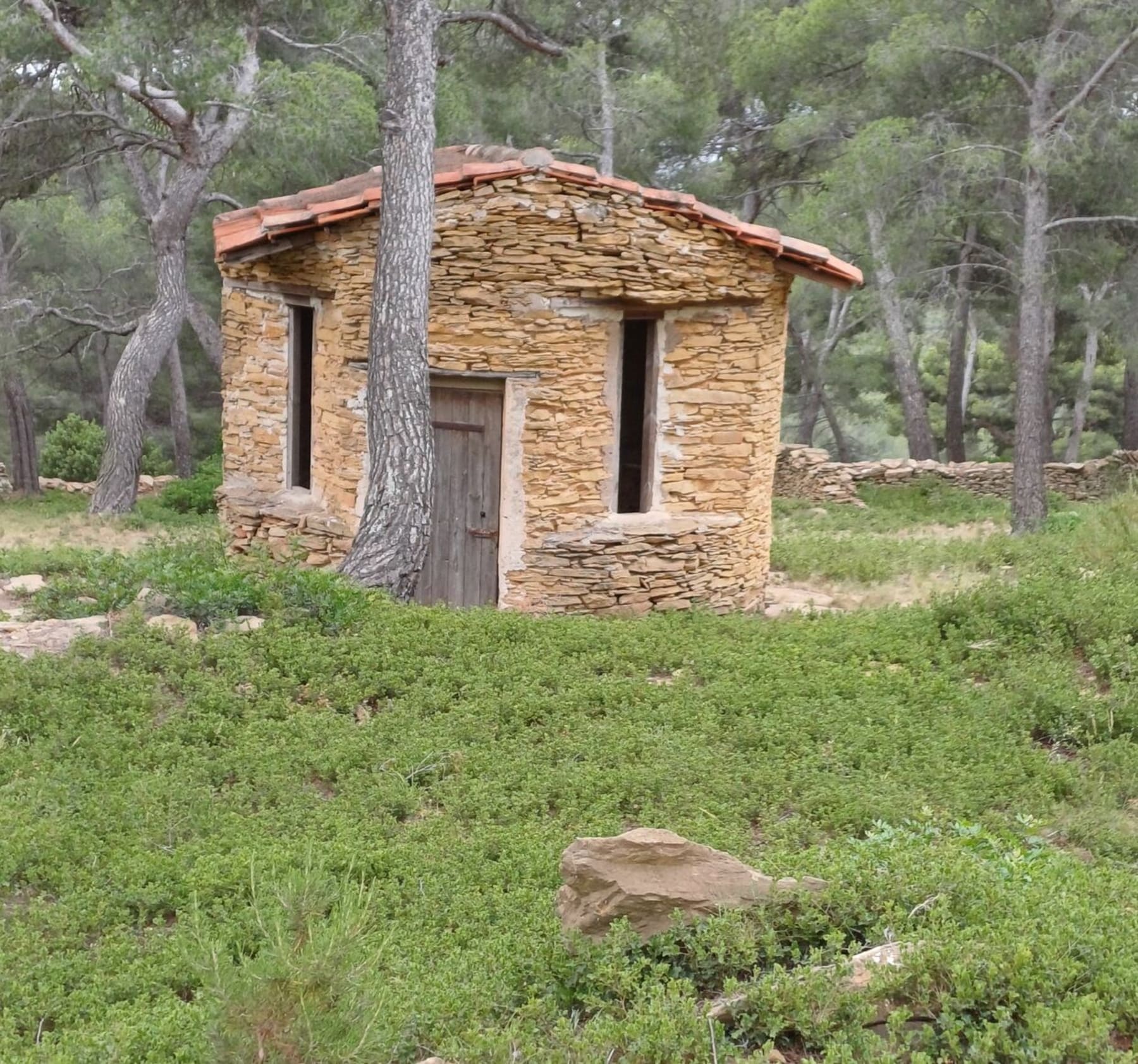 Randonnée La Ciotat - Le Télégraphe par les plaines Baronnes