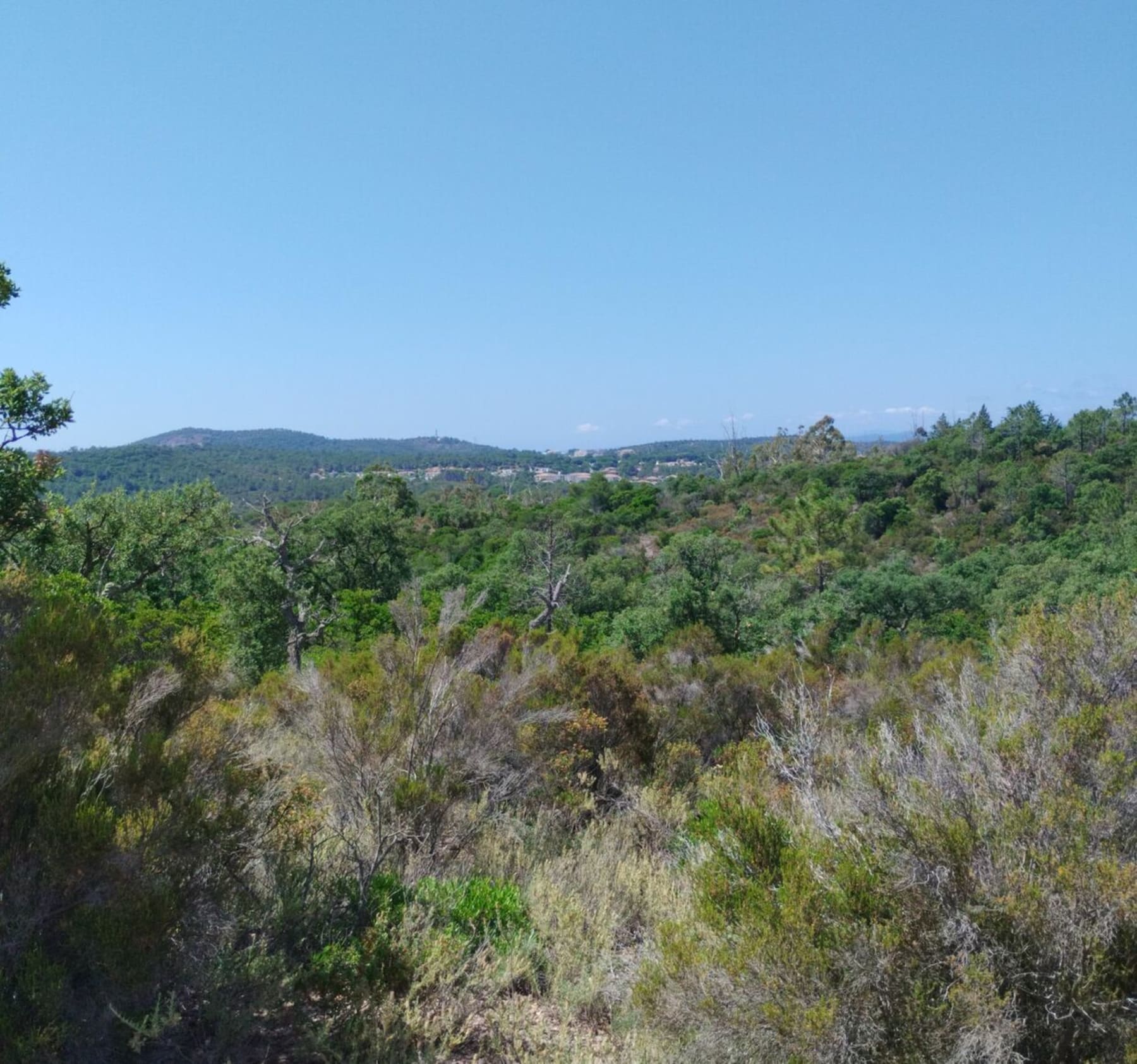 Randonnée Saint-Raphaël - Petit tour dans le massif de l'Esterel