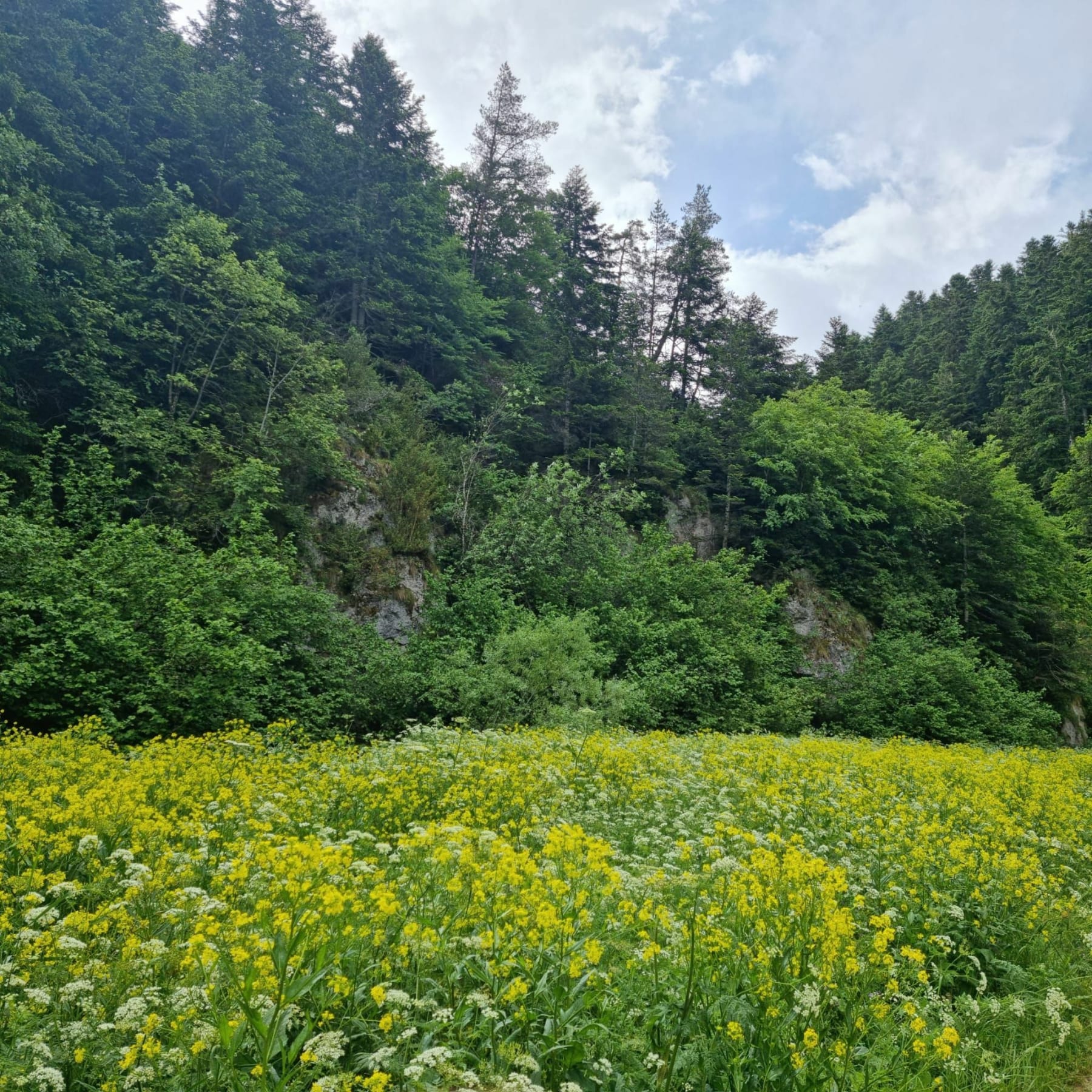 Randonnée Montségur - Gorges de la Frau vers le Pas de l'Ours en aller-retour