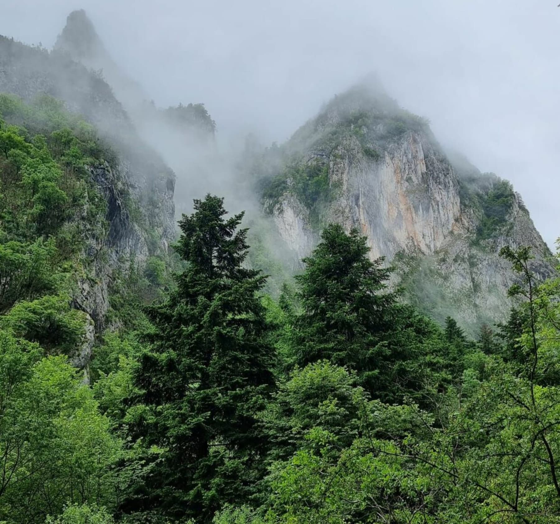 Randonnée Montségur - Gorges de la Frau vers le Pas de l'Ours en aller-retour