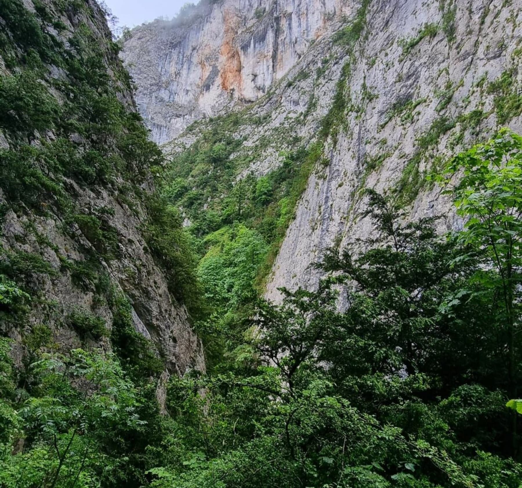 Randonnée Montségur - Gorges de la Frau vers le Pas de l'Ours en aller-retour