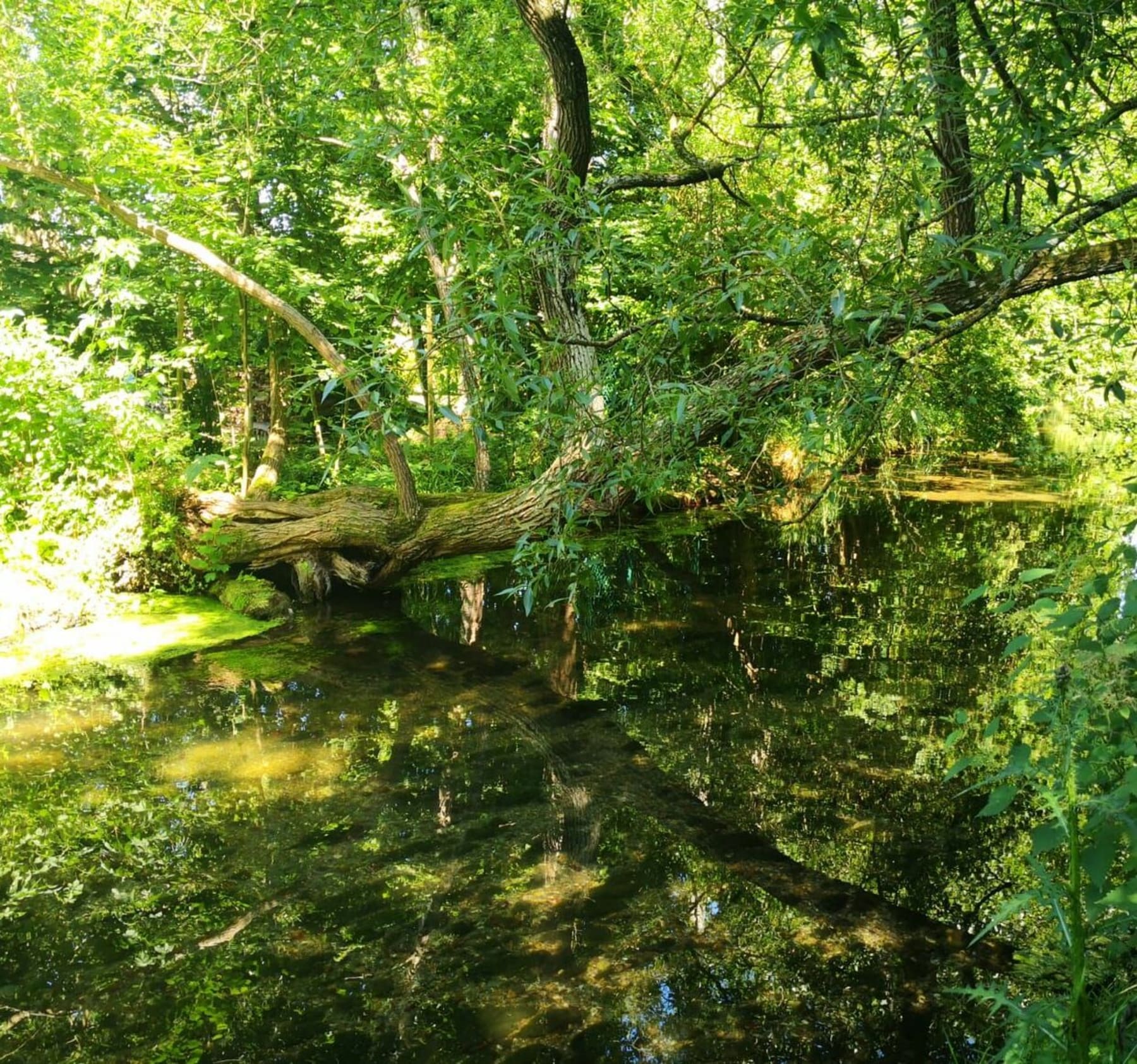 Randonnée Fontaine-sous-Jouy - Fontaine-sous-Jouy, ses bois et ses étangs