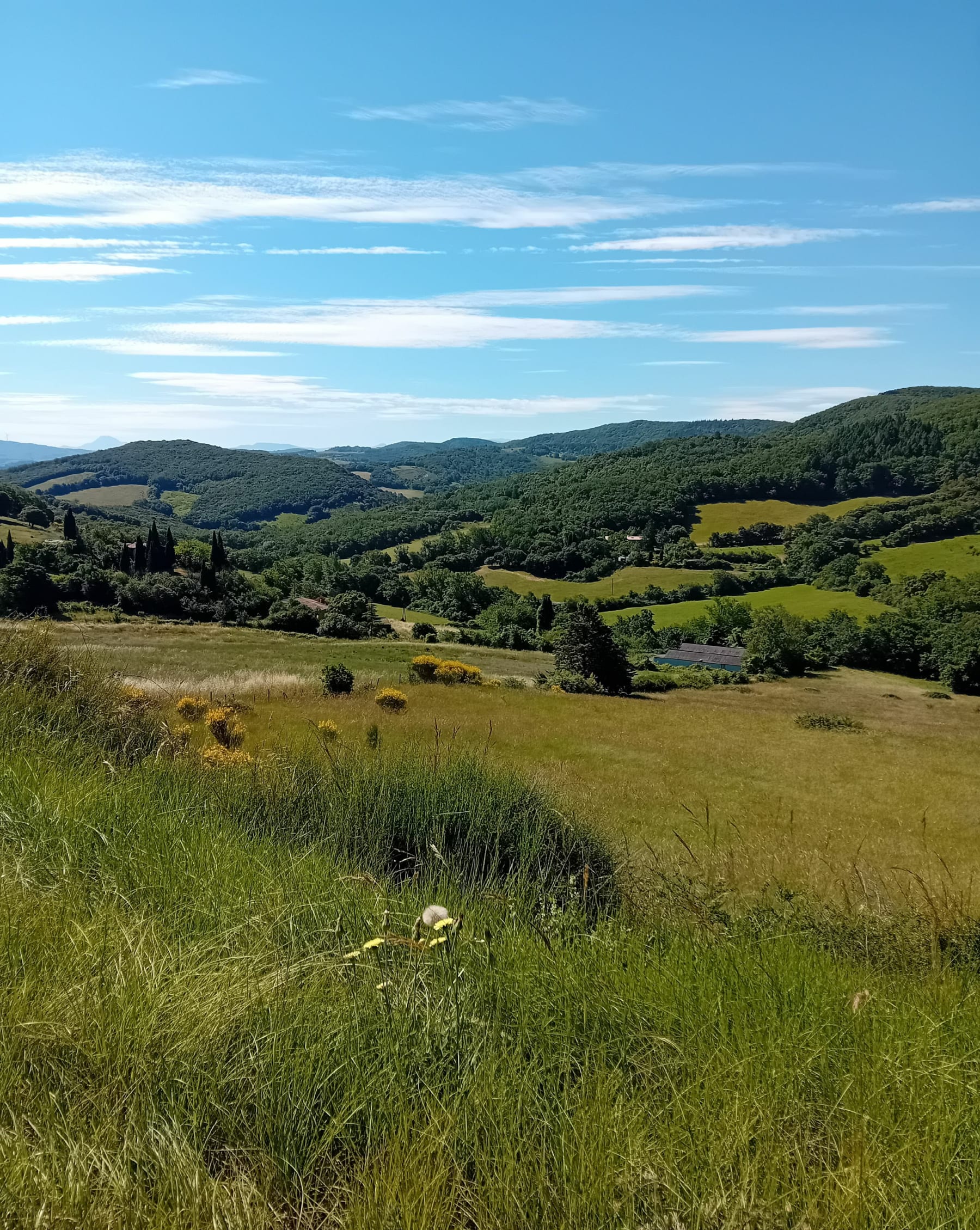 Randonnée Camon - Bellegarde en passant par le col de la Flotte.