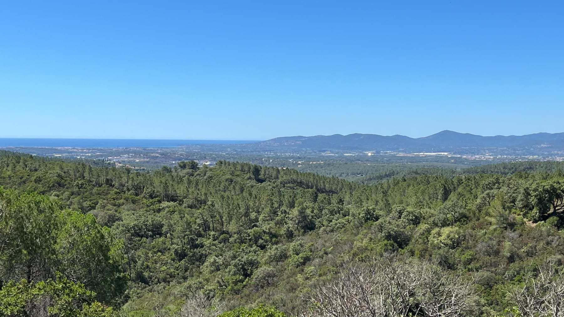 Randonnée Les Adrets-de-l'Estérel - Randonnée, tranquille à Esterets du Lac