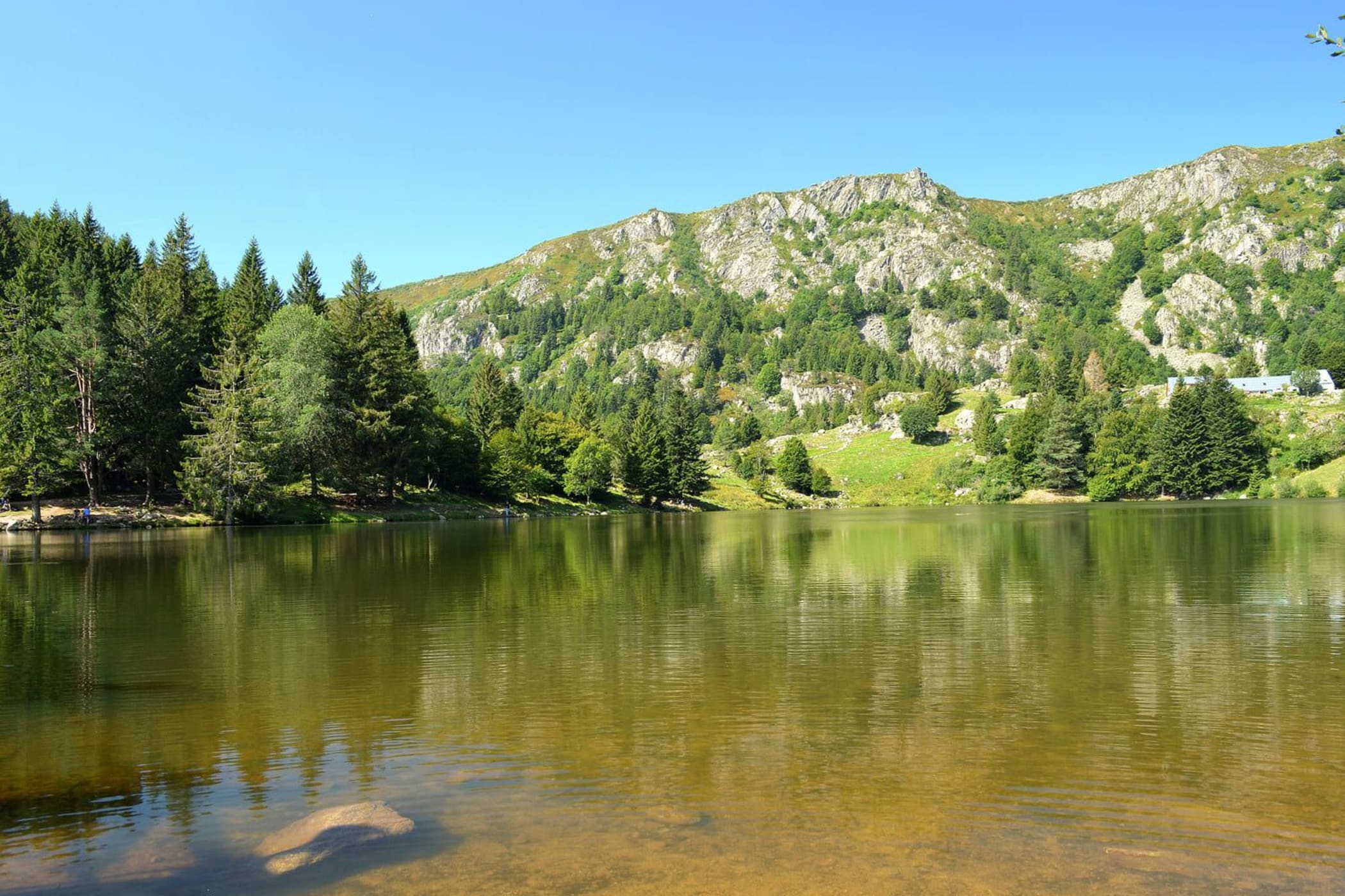 Randonnée lac des Truites : étendue d'eau au pied de montagnes et d'arbres