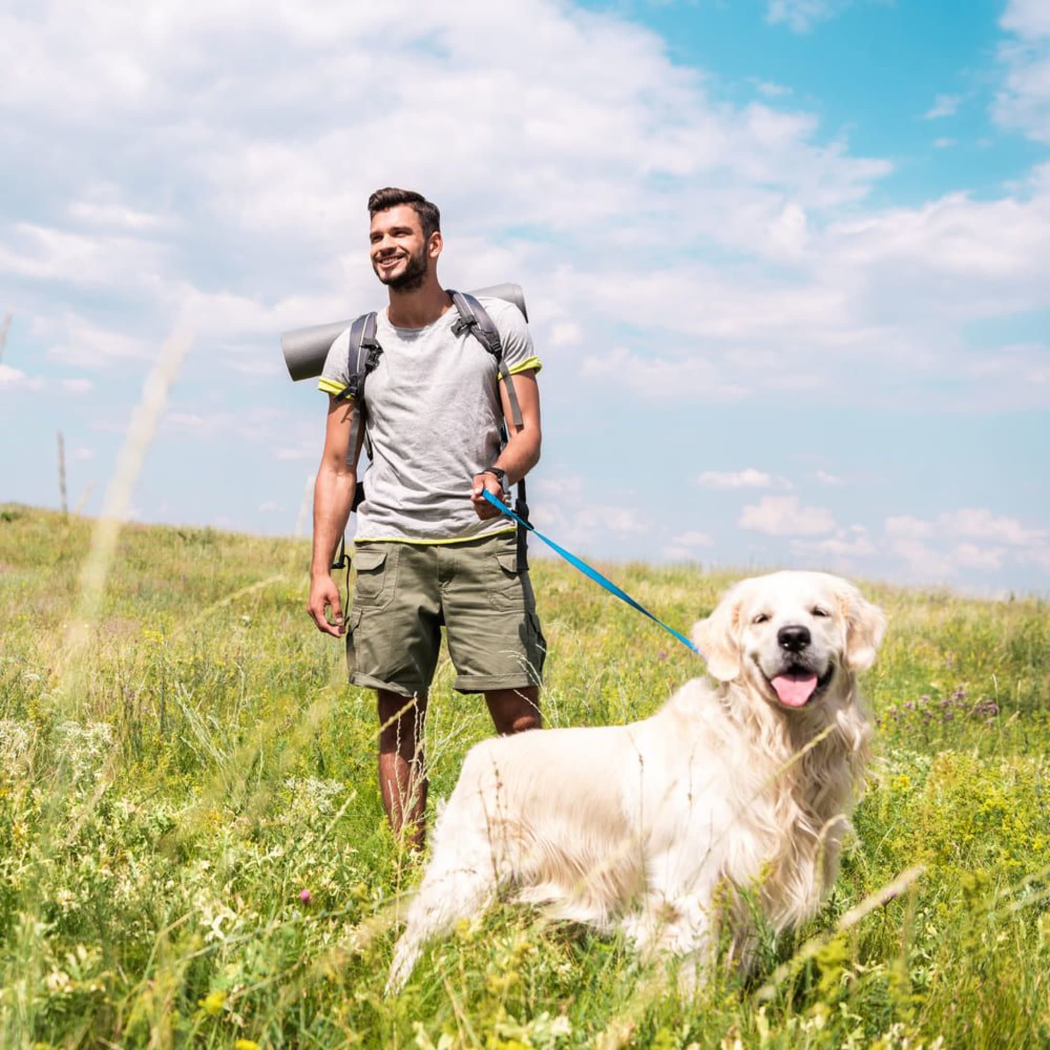Randonnée avec chien : randonneur tenant chien blanc en laisse dans herbes hautes