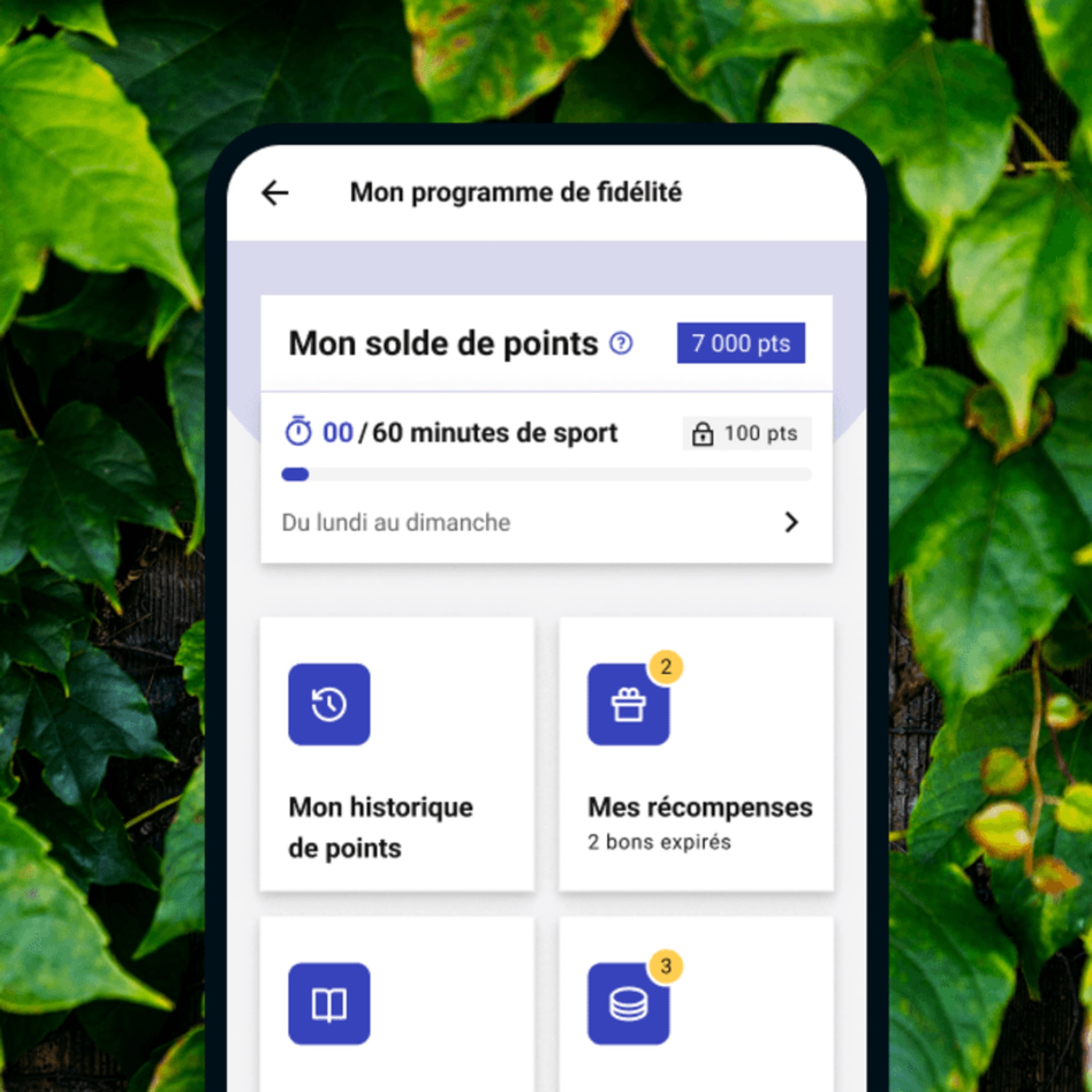 Retrouvez votre solde de points et vos récompenses directement dans l'application