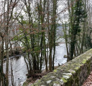 Randonnée autour de Magny - Magny - 4