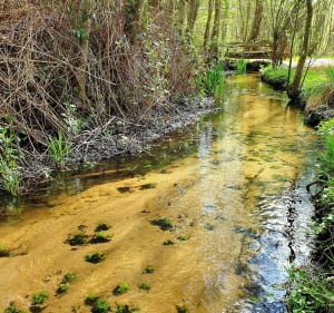 Parc des Bruyères à Fère-en-Tardenois - Fère-en-Tardenois - 3