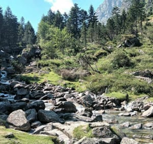 Le long du Gave du Lutour - Cauterets - 5