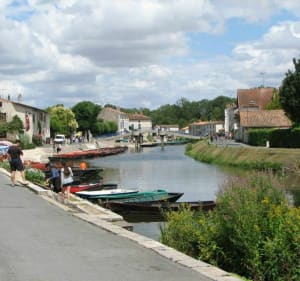 Sèvre et marais poitevin - Niort - 2