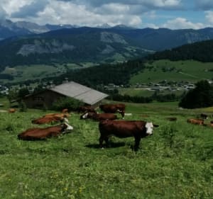Tour du mont Lachat à Crest-Voland - Jean Jacques - 3
