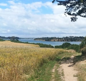 A l'assaut de la Butte de César via le sentier côtier - Arzon - 5