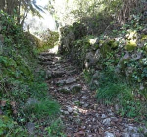 Les deux Monts Chauve - Tourrette-Levens - 2