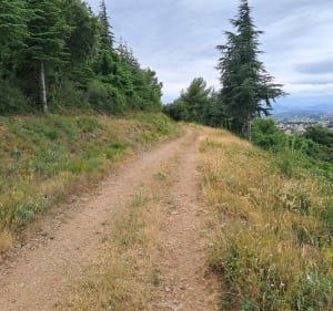 Boucle sur les hauteurs de Campagnan - Campagnan - 2