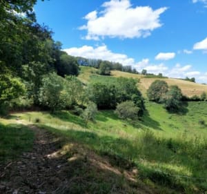 Rando autour de Saint Martin en Haut  (69) - Saint-Martin-en-Haut - 2