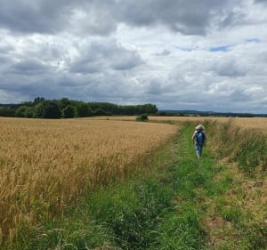 La Vègre entre Ruillé en Champagne et Épineux le Chevreuil - Ruillé-en-Champagne - 2