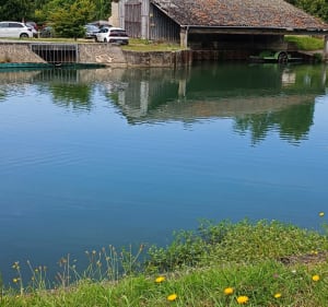 Boucle Coulon - Irleau - La Garette - catherine - 3