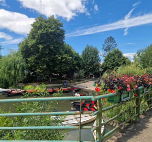 Balade dans le Marais Poitevin depuis Maillezais (avec détour point de vue) - Adrien - 3