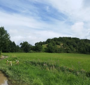 Balade d'Avignonet - laurent - 4