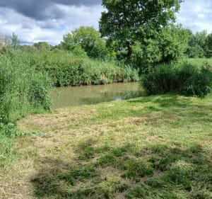 Petite boucle bois du Chay - Échillais - 2