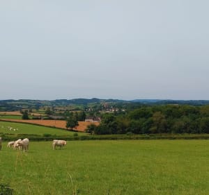 Boucle depuis Saint Pierre de Varenes - Saint-Pierre-de-Varennes - 2