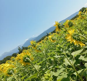 Balade aux portes de la Savoie - Porte-de-Savoie - 2
