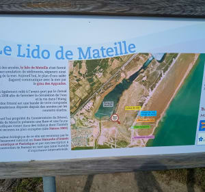 Tour de l'étang de Mateille - Gruissan - 2