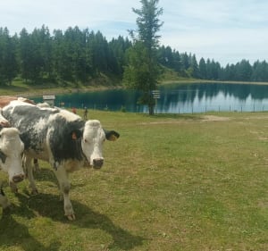 Balade au Lac d'Ancelle - Ancelle - 2