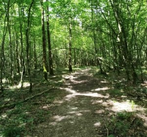 À la croisée des chemins depuis Châteauroux - Vincent - 3