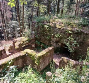 La Chapelotte entre les tranchées de 14-18 (sentier balisé) - Angomont - 2