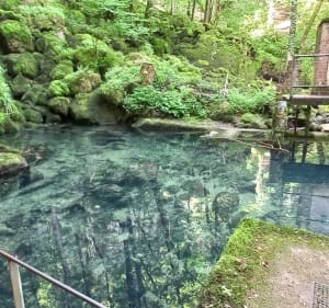Cascade des tufs au Fer à cheval. - La Châtelaine - 2