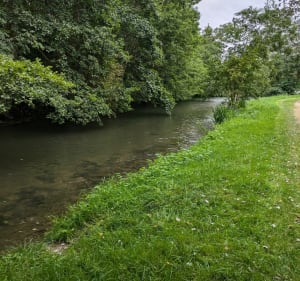 Étang et rivières depuis Nassandres - Nassandres sur Risle - 5