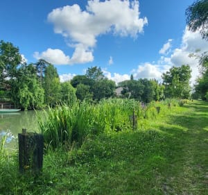 Randonnée tranquille dans le Marais Poitevin - Xavier et Valérie - 4