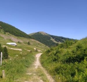 Marmottes et source du Verdon - Allos - 2