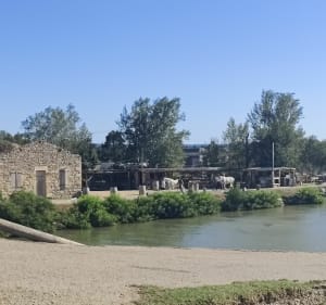 Promenade en petite Camargue - Beauvoisin - 2