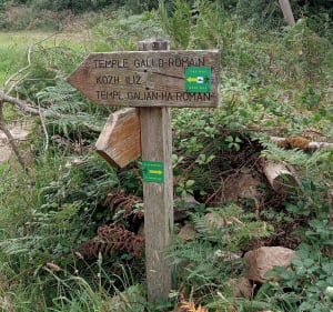 Boucle vers le grand rocher sur chemin non balisé par moment - Plestin-les-Grèves - 2