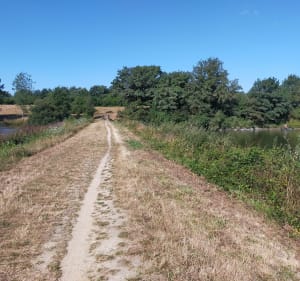 Lac de la Bultière - La Boissière-de-Montaigu - 2